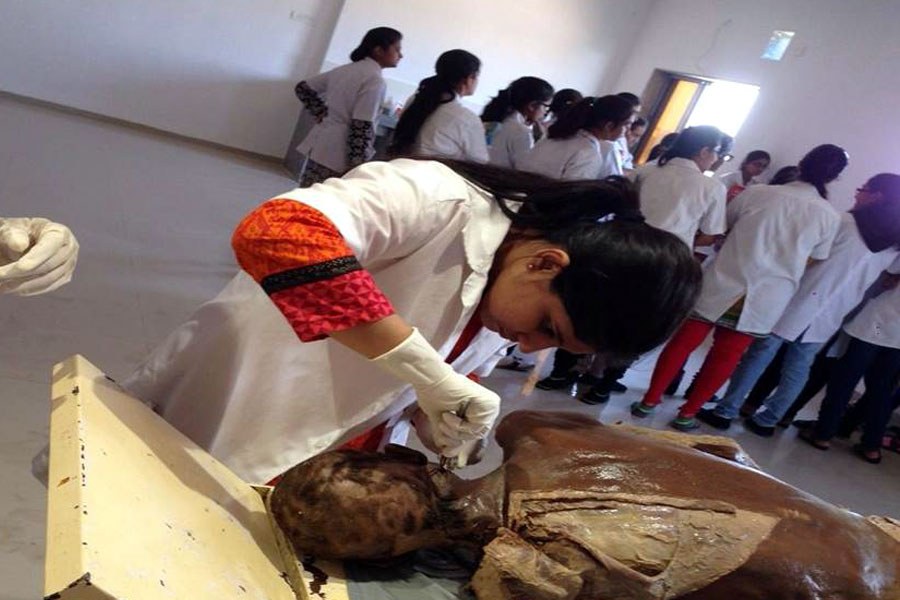 Physiotherapy Lab and OPD